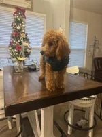 processed/ce33b0a3-9c11-4cd5-926d-7d060f6fc377/listing/85ad0cfc-abac-4a80-9df2-ceff45bcfe5d/3526cf40-225a-4210-bc77-1ac255ed666d