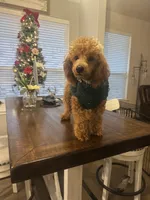 processed/ce33b0a3-9c11-4cd5-926d-7d060f6fc377/listing/85ad0cfc-abac-4a80-9df2-ceff45bcfe5d/7e43c322-1c74-4ad1-a8ac-dd30d1a85173