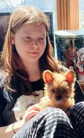 Lola , a female Biewer for sale in New Lothrop, MI – 4 of 10
