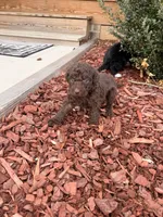 processed/ce3da78c-ee0f-42e7-a3d9-2eb4dde15d30/listing/0abe7d60-285e-4052-bdbe-ddea3a0e761e/02d1f0a3-b8a4-4b54-abc4-32dd5828dbea