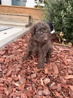 processed/ce3da78c-ee0f-42e7-a3d9-2eb4dde15d30/listing/0abe7d60-285e-4052-bdbe-ddea3a0e761e/62d84d10-b9a5-48dc-8e8f-b3388d7e8506