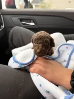 processed/ce3da78c-ee0f-42e7-a3d9-2eb4dde15d30/listing/0abe7d60-285e-4052-bdbe-ddea3a0e761e/6435ac84-ff34-4015-8e27-db49dc5d2352