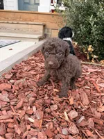 processed/ce3da78c-ee0f-42e7-a3d9-2eb4dde15d30/listing/0abe7d60-285e-4052-bdbe-ddea3a0e761e/7b690b27-4478-4a8e-ae1c-9c4bb8741e51