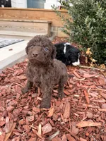 processed/ce3da78c-ee0f-42e7-a3d9-2eb4dde15d30/listing/0abe7d60-285e-4052-bdbe-ddea3a0e761e/840600b6-1fb0-4579-b4bb-6f4bec56ee29