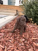 processed/ce3da78c-ee0f-42e7-a3d9-2eb4dde15d30/listing/0abe7d60-285e-4052-bdbe-ddea3a0e761e/d557ad92-ffc7-427b-864f-a94c6ca63508