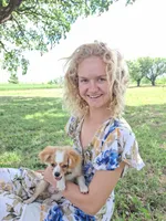 Gerbil, a male Cavapom and Pomeranian for sale in Harper, KS – Photo 7 of 9