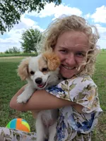 Luna, a female Cavapom and Pomeranian for sale in Harper, KS – Photo 4 of 8