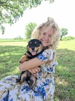 Percy, a male Cavapom and Pomeranian for sale in Harper, KS – Photo 4 of 6