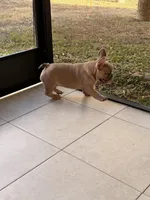 processed/ce3f915a-4256-4830-b0e2-694bfdba3e7a/facility/89b252a5-f8d4-46c6-9cb4-a9d79fe65b50