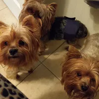 processed/ce431e11-0471-4218-8847-94c69d0882ab/facility/ccf08b9e-8c40-4197-a512-fa740c76cdcc