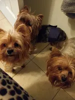 processed/ce431e11-0471-4218-8847-94c69d0882ab/facility/ccf08b9e-8c40-4197-a512-fa740c76cdcc