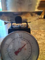 Teacup Tim, a male Pomeranian for sale in Black River, NY – Photo 2 of 3