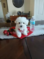 processed/ce431e11-0471-4218-8847-94c69d0882ab/listing/e2abff65-7972-4ba7-9ed1-e083bc8027f7/672663e9-4078-421b-a583-66e70997784e