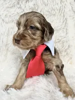 processed/ce5ab8e6-7911-4856-8bff-e83c0e95daae/listing/c5548260-91b0-4fe3-8826-784bb37f850a/293f37ab-1358-4d5e-8790-0cb979080a57