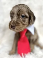 processed/ce5ab8e6-7911-4856-8bff-e83c0e95daae/listing/c5548260-91b0-4fe3-8826-784bb37f850a/5b110b20-b17f-4cb5-bc85-0c1c4f50eb7e