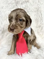 processed/ce5ab8e6-7911-4856-8bff-e83c0e95daae/listing/c5548260-91b0-4fe3-8826-784bb37f850a/608288ab-76da-4b1e-821a-23360653e3d3