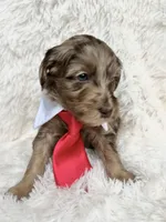 processed/ce5ab8e6-7911-4856-8bff-e83c0e95daae/listing/c5548260-91b0-4fe3-8826-784bb37f850a/6f4eb65a-048f-4a43-ba8a-066f8ffad497