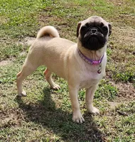 processed/ce5acb06-6aec-4801-9773-395d7705c448/facility/73fb3061-e52e-47d8-a81b-fc544145ae64