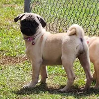 processed/ce5acb06-6aec-4801-9773-395d7705c448/facility/804db4a7-2765-46d3-92fc-413b2b20a2a3