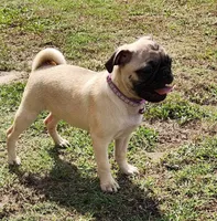 processed/ce5acb06-6aec-4801-9773-395d7705c448/facility/9c7f6c9d-0862-4088-9c00-e09cf702a547