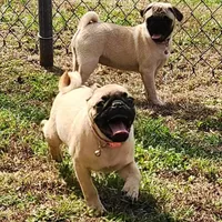 processed/ce5acb06-6aec-4801-9773-395d7705c448/facility/a68ad4e9-d974-410d-ac52-c723fedd9918