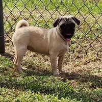 processed/ce5acb06-6aec-4801-9773-395d7705c448/facility/ee8dd9ff-70f3-487a-8355-ddb5fe26939d