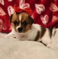 processed/ce5acb06-6aec-4801-9773-395d7705c448/listing/1be2d560-daea-4de4-b950-bd84939443dd/0ae44d1f-ed94-4d63-bda4-e68385d6b2d3