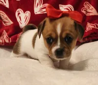 processed/ce5acb06-6aec-4801-9773-395d7705c448/listing/1be2d560-daea-4de4-b950-bd84939443dd/338e57e7-bb7e-4fc9-b791-2e60f79d956a