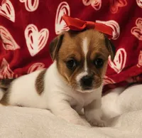 processed/ce5acb06-6aec-4801-9773-395d7705c448/listing/1be2d560-daea-4de4-b950-bd84939443dd/c5031ca4-831b-40cf-ab57-4a64d5d0e99d