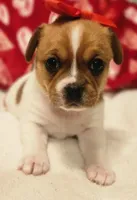 processed/ce5acb06-6aec-4801-9773-395d7705c448/listing/1be2d560-daea-4de4-b950-bd84939443dd/efbb0d94-727d-4b70-be07-c9326f58bb19