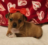 processed/ce5acb06-6aec-4801-9773-395d7705c448/listing/e8cfda79-cacc-4cbe-8435-0b414fee8f87/9b4d9ca9-510a-46a8-ba51-c40294fef838