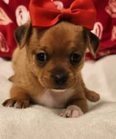 processed/ce5acb06-6aec-4801-9773-395d7705c448/listing/e8cfda79-cacc-4cbe-8435-0b414fee8f87/fbf4a813-cb38-4bc9-8954-1fe3fb81f1eb