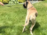 processed/ce618058-9282-4562-ad74-bbc58a43f0c9/listing/151597e3-49f6-4f5b-95da-be9f3db3c610/1898dc92-89a1-4aed-9bd5-d2e9374c26f4