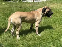 processed/ce618058-9282-4562-ad74-bbc58a43f0c9/listing/151597e3-49f6-4f5b-95da-be9f3db3c610/3ef1fa40-7b11-4654-af96-5b62d1be704f