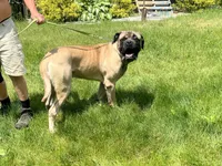 processed/ce618058-9282-4562-ad74-bbc58a43f0c9/listing/151597e3-49f6-4f5b-95da-be9f3db3c610/4c32d0af-34c0-4d0a-a5bd-f4fb8b562165