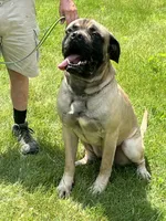 processed/ce618058-9282-4562-ad74-bbc58a43f0c9/listing/151597e3-49f6-4f5b-95da-be9f3db3c610/4f0d772c-0c65-4fce-9d95-c18a8c6aab75