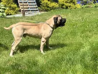 processed/ce618058-9282-4562-ad74-bbc58a43f0c9/listing/151597e3-49f6-4f5b-95da-be9f3db3c610/6a8268ef-5ed0-4cab-aaf8-6f7cff75c181