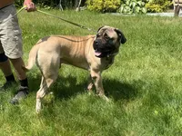 processed/ce618058-9282-4562-ad74-bbc58a43f0c9/listing/151597e3-49f6-4f5b-95da-be9f3db3c610/7f7376f6-7c12-45bc-9446-680303b67ba7