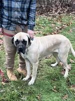 processed/ce618058-9282-4562-ad74-bbc58a43f0c9/listing/2c478c0f-a9fe-4c10-8807-2dd8a272a46e/2fef2c80-b6b2-46b4-8a8d-996c7735349e