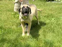 processed/ce618058-9282-4562-ad74-bbc58a43f0c9/listing/2c478c0f-a9fe-4c10-8807-2dd8a272a46e/3868be25-0c59-41ed-9aeb-2f9bbbda70a8