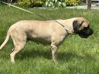 processed/ce618058-9282-4562-ad74-bbc58a43f0c9/listing/2c478c0f-a9fe-4c10-8807-2dd8a272a46e/c50dffe0-3349-4a6c-ae64-c001817d607c