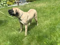 processed/ce618058-9282-4562-ad74-bbc58a43f0c9/listing/2c478c0f-a9fe-4c10-8807-2dd8a272a46e/d510e12f-d6a4-4b77-a72a-7edbc9ad1286