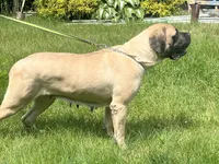 processed/ce618058-9282-4562-ad74-bbc58a43f0c9/listing/2c478c0f-a9fe-4c10-8807-2dd8a272a46e/d9f08a8b-c1f5-41b7-9d18-3aaec6328985