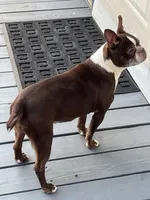 processed/ce618058-9282-4562-ad74-bbc58a43f0c9/listing/8319f4e2-3569-4e53-8757-80eae686dc12/5dc24d7a-7c59-42cd-b639-68b0a40d056e