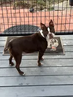 processed/ce618058-9282-4562-ad74-bbc58a43f0c9/listing/8319f4e2-3569-4e53-8757-80eae686dc12/a9d2fe56-77af-4c14-8b91-f1f533641c76