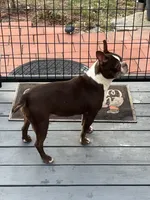 processed/ce618058-9282-4562-ad74-bbc58a43f0c9/listing/8319f4e2-3569-4e53-8757-80eae686dc12/dd09dc45-d37f-4421-8784-c1b925a89ee8