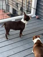 processed/ce618058-9282-4562-ad74-bbc58a43f0c9/listing/8319f4e2-3569-4e53-8757-80eae686dc12/dec6e280-375a-44d5-aee3-52506fe46b5b