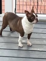 processed/ce618058-9282-4562-ad74-bbc58a43f0c9/listing/8319f4e2-3569-4e53-8757-80eae686dc12/f747407a-f0ef-4fea-938d-2c558eedd9d1