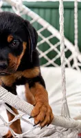 Facility photo