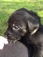 processed/ce6e88f2-dbfa-487d-a152-bedc41be2322/listing/20716358-befb-4708-a793-615559bfd1c3/0e32d252-5423-401f-8d09-1e78f5c86da1